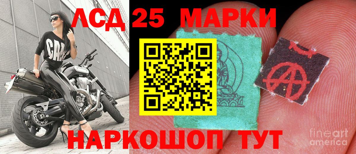 Наркотические марки 1500мкг  Вход с VPN  Наркотические марки 1500мкг  Сокол 