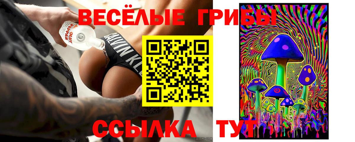 Галлюциногенные грибы Psilocybe  Вход с VPN  Сокол  Галлюциногенные грибы Cubensis 