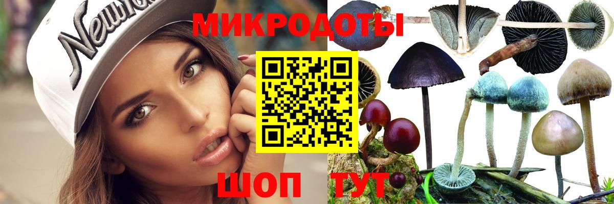 Псилоцибиновые грибы прущие грибы Сокол